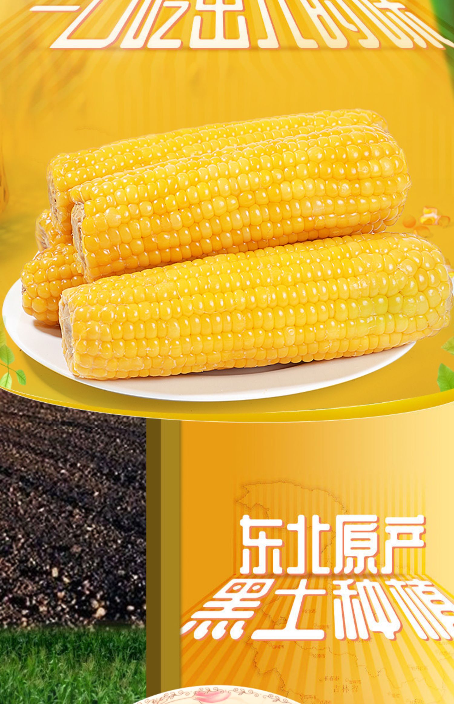 O1CN01JIJeyr1PzHf2y9ayP_!!2211984911911.jpg