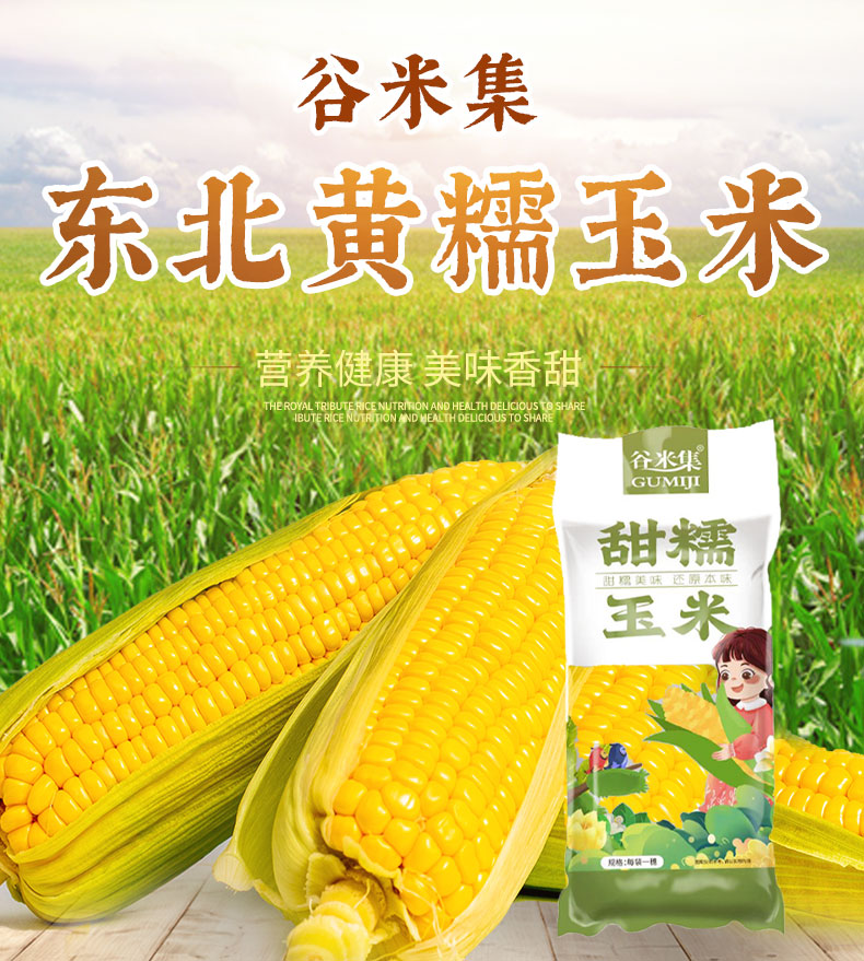 O1CN010J3cKc23m4rKMxM0k_!!2209527457297.jpg