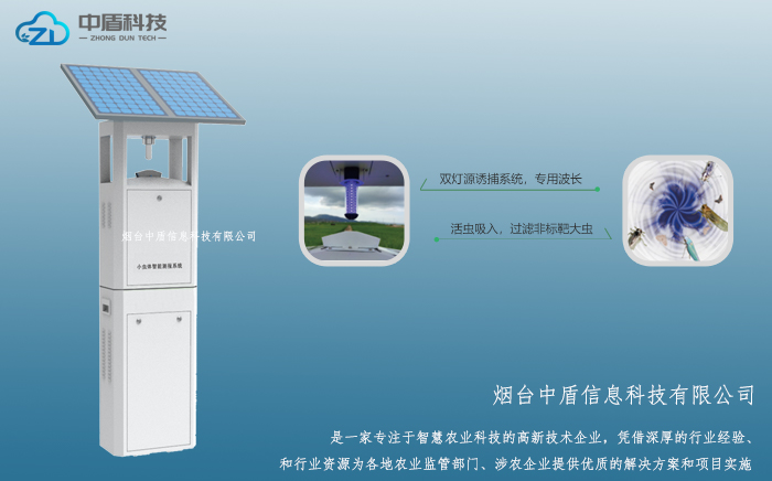 小虫体智能测报系统1.jpg